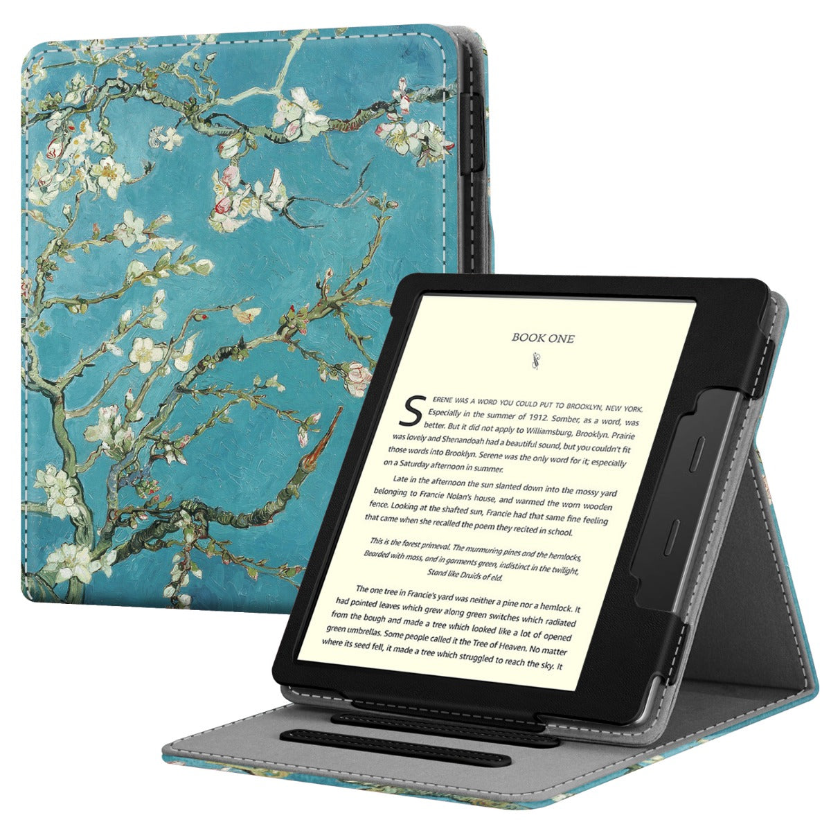 Kindle store Oasis E-Reader